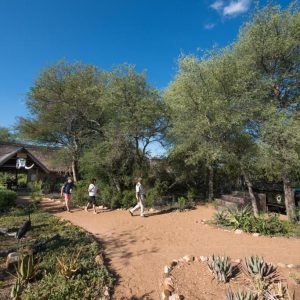 Kambaku Safari Lodge