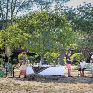 Kambaku Safari Lodge