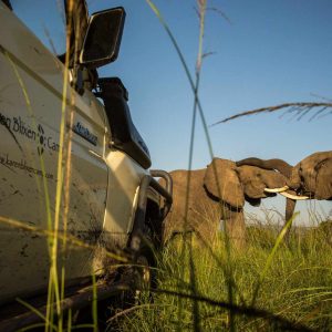 Intensive Masai Mara Safari, Karen Blixen Camp