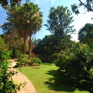 Karibu Guesthouse, schöner Garten
