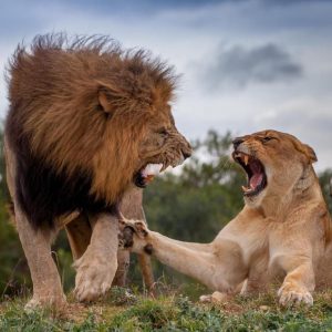 Kariega Game Reserve, Ukhozi Lodge_