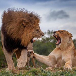 Kariega Game Reserve, Ukhozi Lodge_