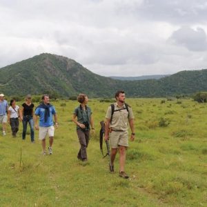 Kariega Game Reserve, Ukhozi Lodge Walking Safari