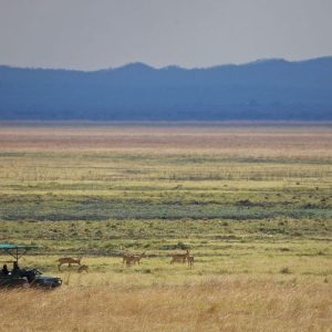 Katavi Wildlife Camp in der Trockenzeit