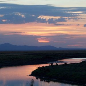 Katavi Wildlife Camp romantische Stimmung am Katuma Fluss