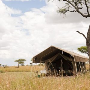 Kati Kati Camp