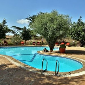 Kibo Safari Camp, erfrischender Pool
