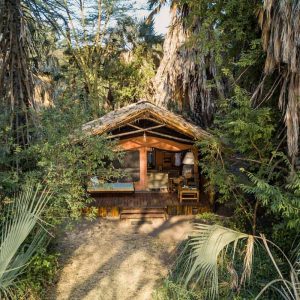 versteckt im Palmenhain