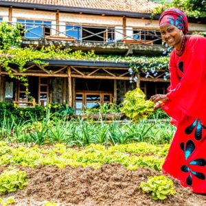 Kivu Paradise Resort