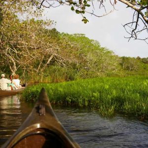 Kosi Forest Lodge Kanutour
