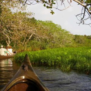 Kosi Forest Lodge Kanutour