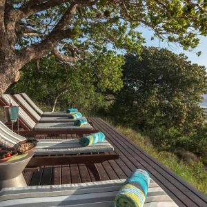 Kosi Forest Lodge Pool Deck
