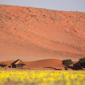 Exclusive Flugsafari, Kwessi Dunes Lodge, Rooms dune background