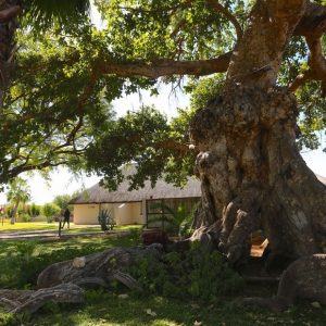 La Rochelle Lodge, Garten