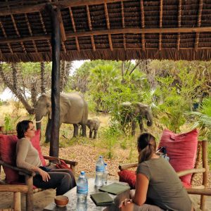 Selous & Ruaha, Lake Manze Tented Camp Bar