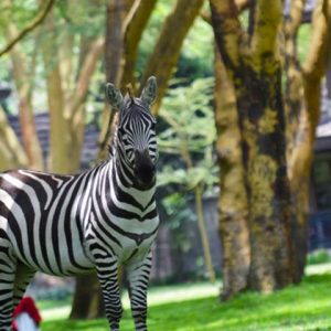 Lake Naivasha Simba Lodge, Garten