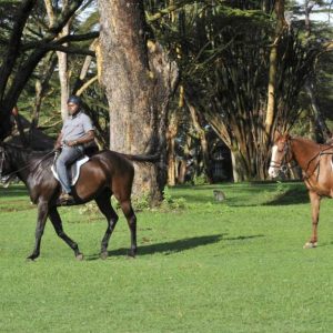 Lake Naivasha Sopa Lodge