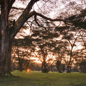 Lake Naivasha Sopa Lodge