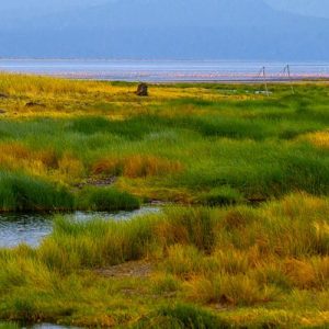 Lake Natron Camp, einmalige Farben