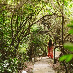 Lazy Lagoon, Insel Vegetation