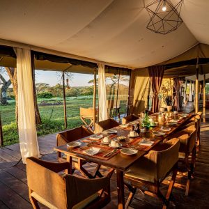 Lemala Ndutu, lange Tagel