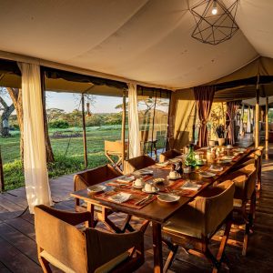 Lemala Ndutu, lange Tagel