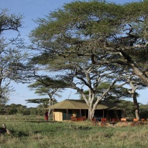 Lemala Ndutu Camp, Aussenansicht