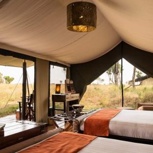 Lemala Ndutu, geräumige Zelte