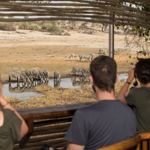 Leroo La Tau, Tierbeobachtung vom Hide