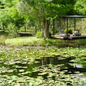 Lilypond Country Lodge Gartenanlage