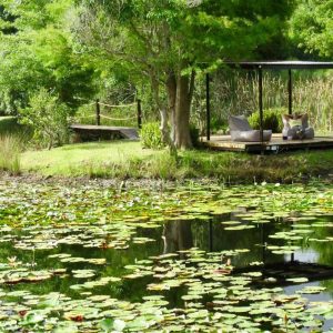 Lilypond Country Lodge Gartenanlage