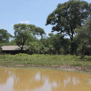 Littel Miombo Camp Wasserloch