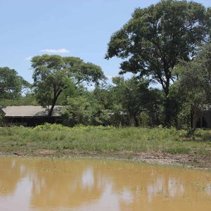 Littel Miombo Camp Wasserloch