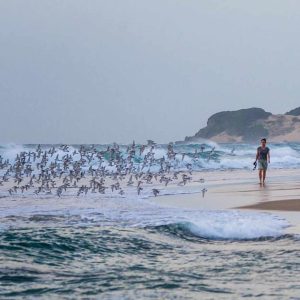 Maputo und Baden am Indischen Ozean, Machangulo Beach Lodge