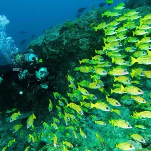 Machangulo Beach Lodge