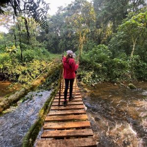 Mahogany Springs Lodge Aktivitäten Bigodi