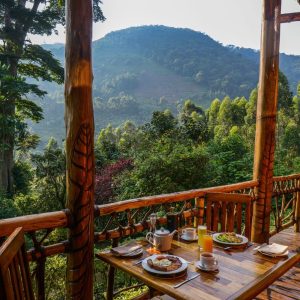 Mahogany Springs Lodge