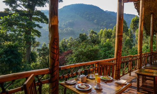 Mahogany Springs Lodge