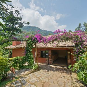 Mahogany Springs Lodge_ Eingang