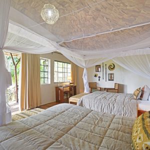 Mahogany Springs Lodge