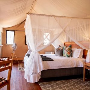 Mankwe Tented Retreat, Doppelzimer