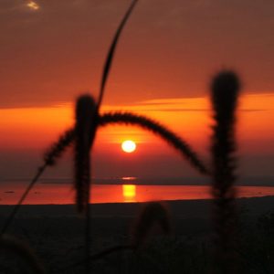 Marafiki Safari Lodge_Sundowner