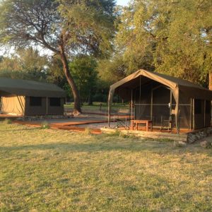 Zelte unter Kameldornbäumen