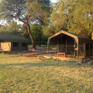 Zelte unter Kameldornbäumen