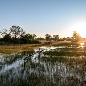 Mapula Lodge, Mokoro Fahrt