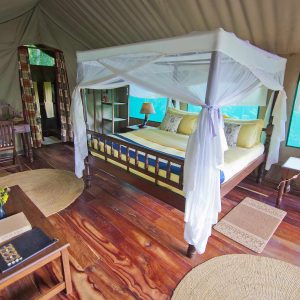 Mbali Mbali Gombe Camp