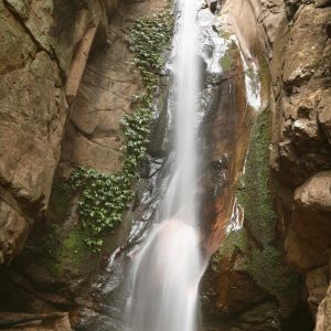 Mbali Mbali Gombe Camp