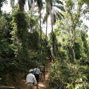 Gombe Stream Nationalaprk, Mbali Mbali Gombe Camp