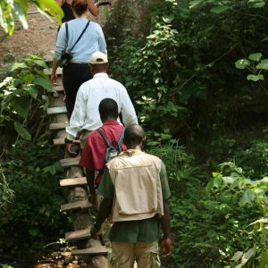 Mbali Mbali Gombe Camp