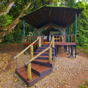 Mbali Mbali Gombe Camp